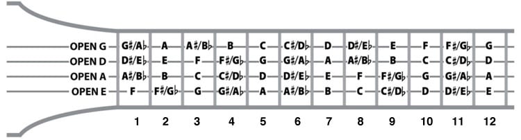 6 String Bass Chords Chart