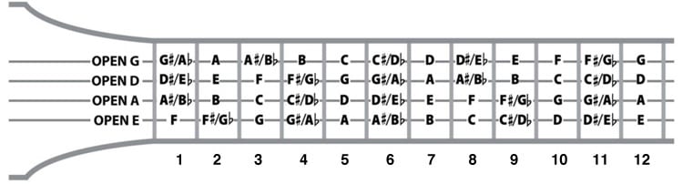 Printable Bass Note Chart