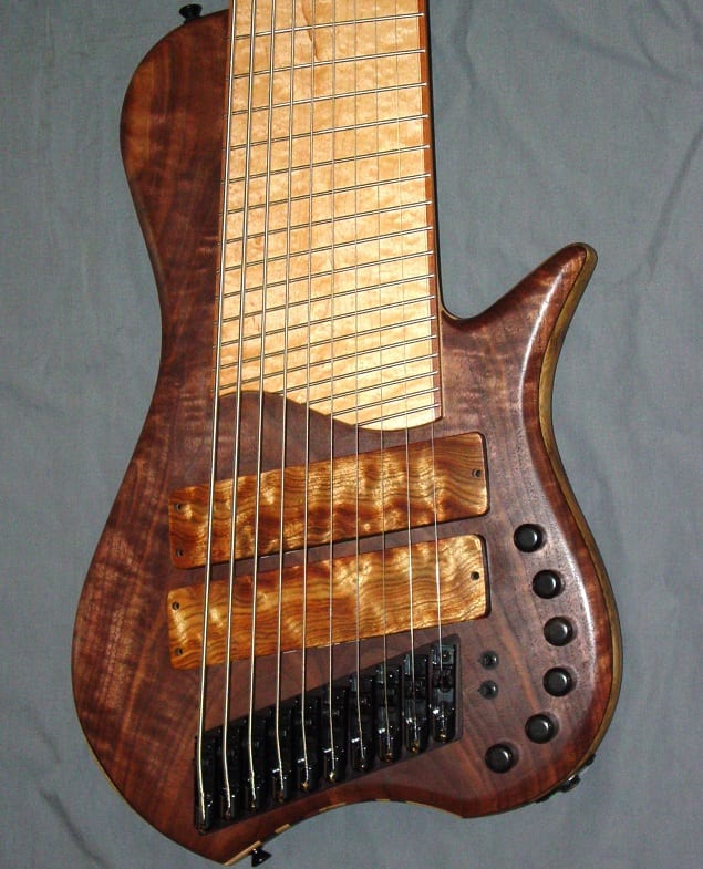types of guitar ten-string-bass