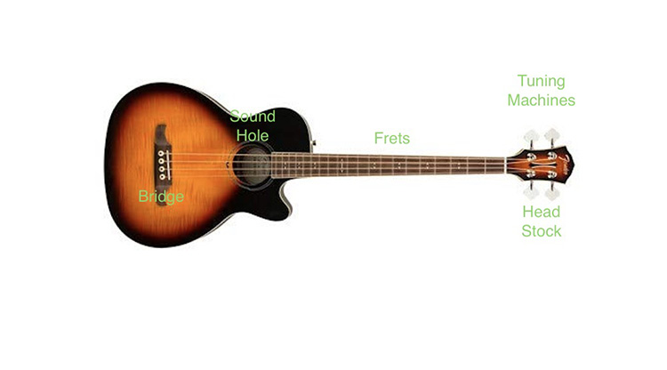 The Difference Between Bass And Guitar An Essential Guide