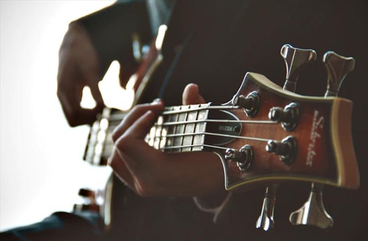 Bass Lessons - Learn Online with HD Videos