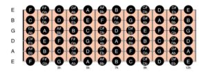 Learning The Fretboard - An Essential Guide - National Guitar Academy