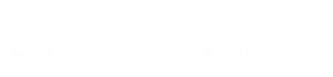 National Guitar Academy logo